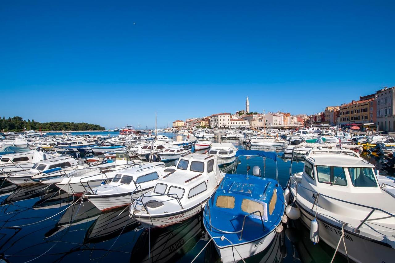 Otto Apartment With Sea View And Parking Rovinj Bagian luar foto